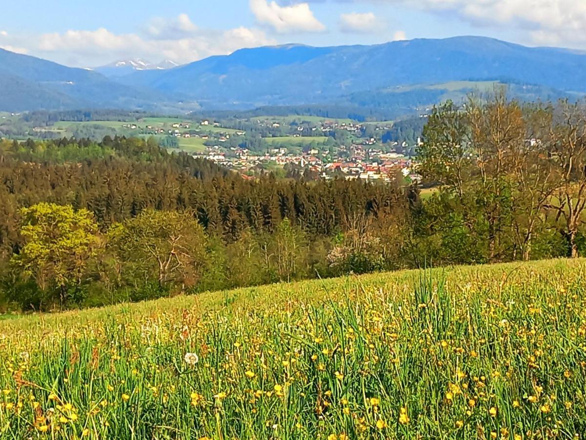 Ferienhaus Kaerntnergmiat Feldkirchen in Kärnten Extérieur photo
